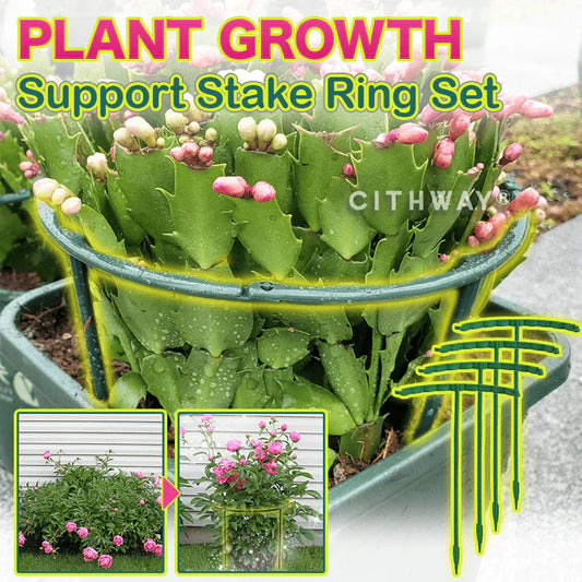 Plant Growth Support Stake Ring Set