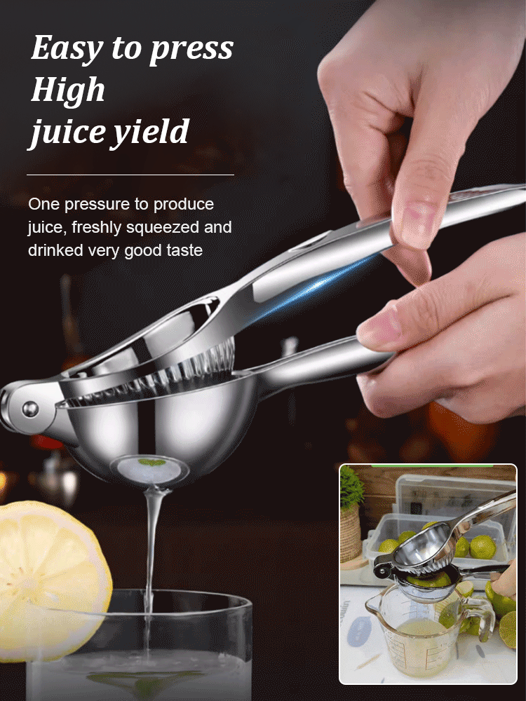 High-quality stainless steel juicer