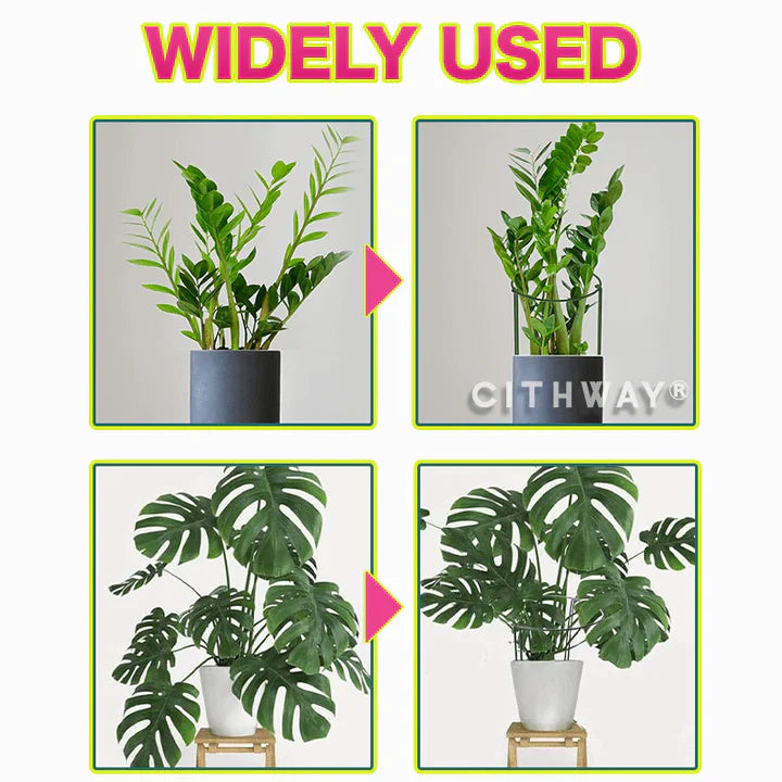 Plant Growth Support Stake Ring Set