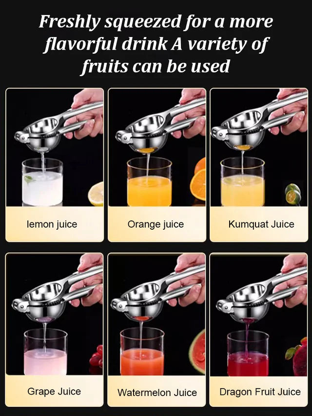 High-quality stainless steel juicer