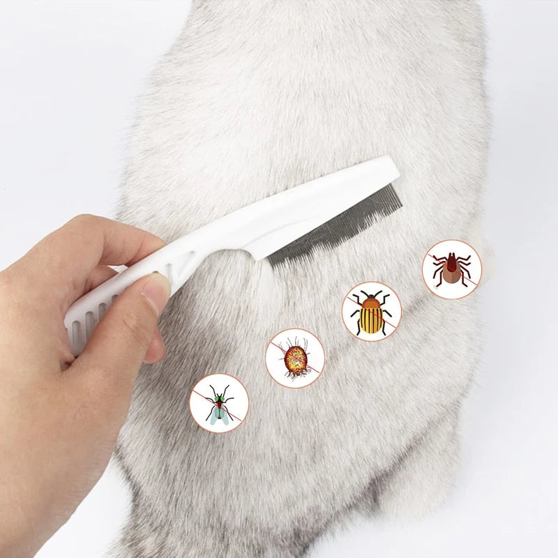 (🔥FACTORY OUTLET-49% OFF) Tear Stain Remover Comb (BUY ONE FREE ONE)