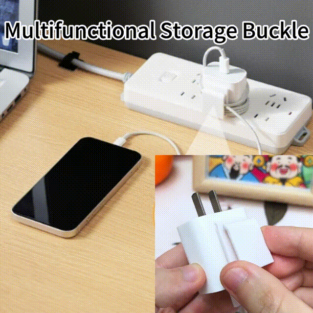 Multifunctional Storage Buckle